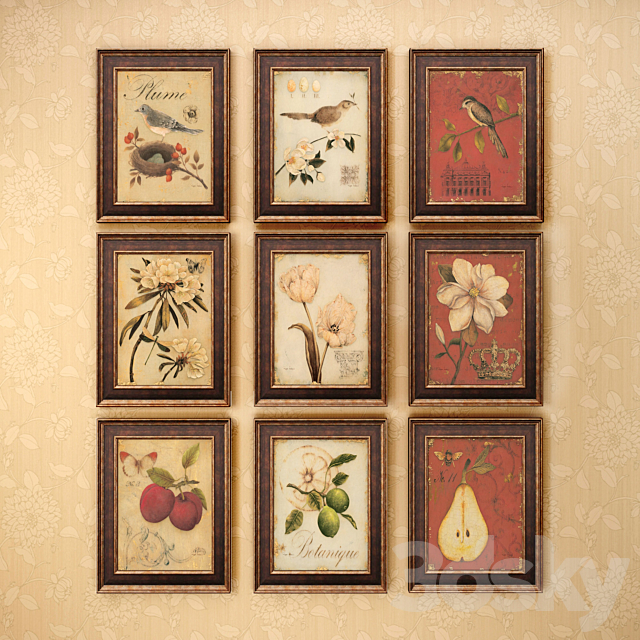 The picture in the frame: 13 pieces (collection 62) Birds 3DS Max Model - thumbnail 3