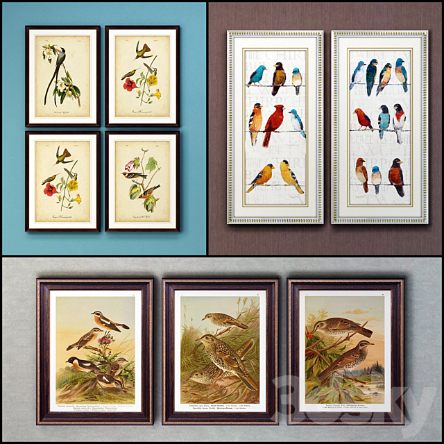 The picture in the frame: 17 pieces (collection 63) Birds 3ds Max - thumbnail 1