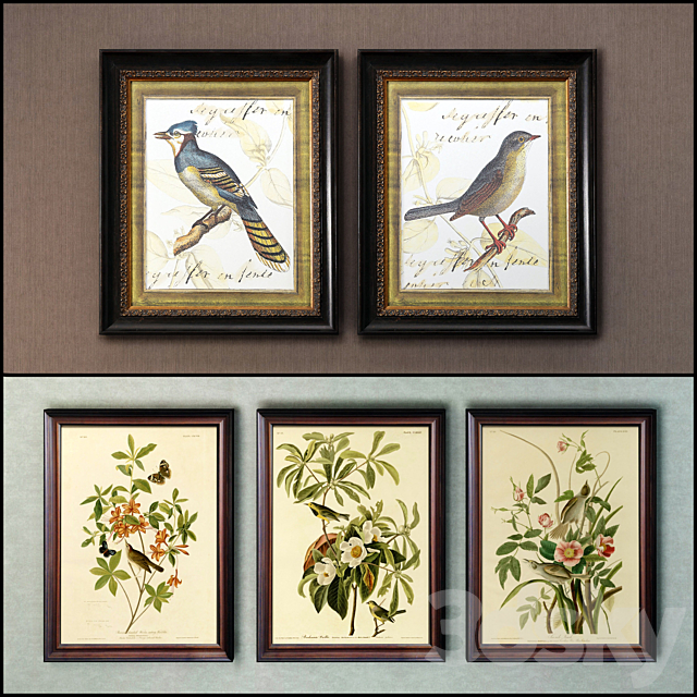 The picture in the frame: 17 pieces (collection 63) Birds 3ds Max - thumbnail 2