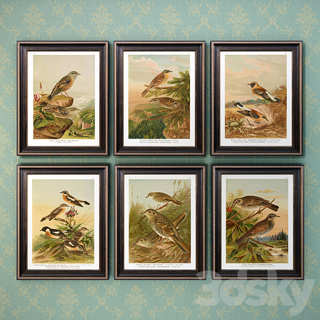 The picture in the frame: 17 pieces (collection 63) Birds 3ds Max - thumbnail 3