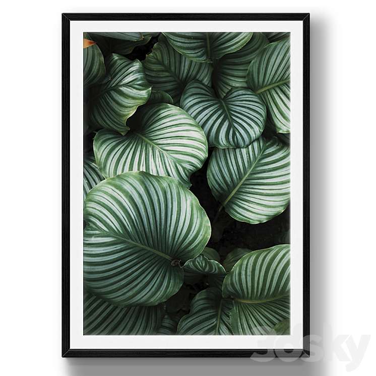 Tropical leaves | set 26 3DS Max - thumbnail 2