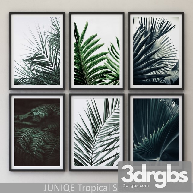 Tropical Set 01 Framed 3dsmax Download - thumbnail 1