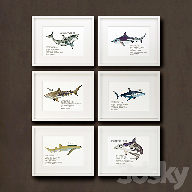 Wooden panels. 37. Collection of marine theme. Sharks 3DS Max Model - thumbnail 3