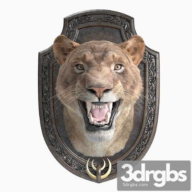 A lion 3dsmax Download - thumbnail 1