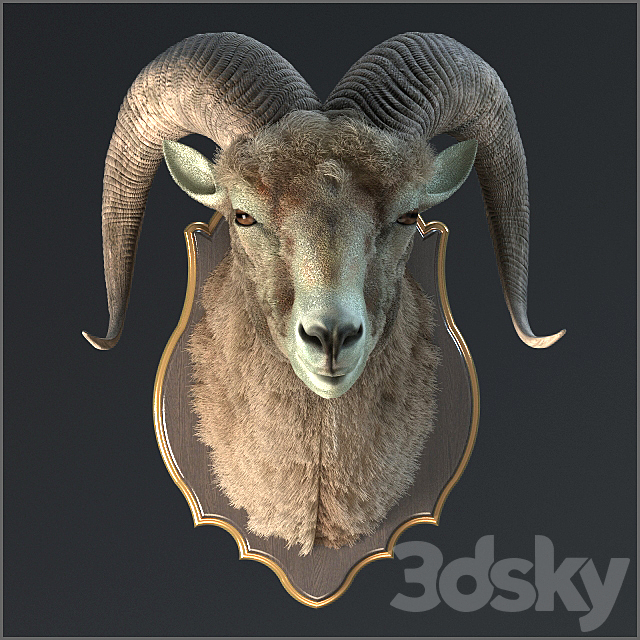 Altai argali 3ds Max - thumbnail 1