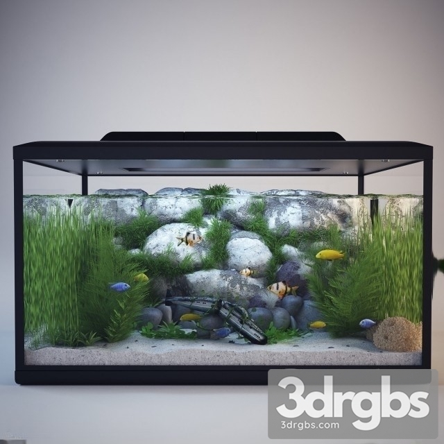 Aquarium 01 3dsmax Download - thumbnail 1