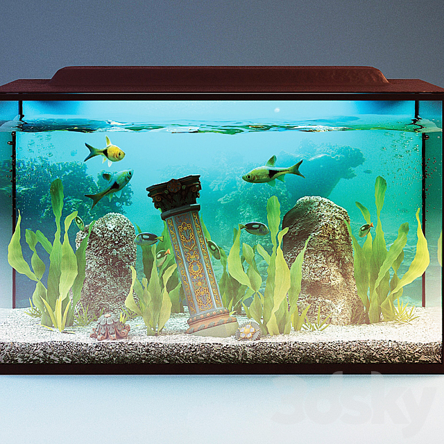 Aquarium 3ds Max - thumbnail 1