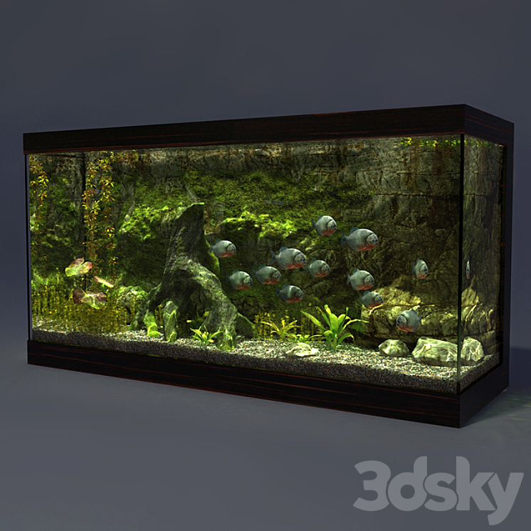 Aquarium 3DS Max - thumbnail 1