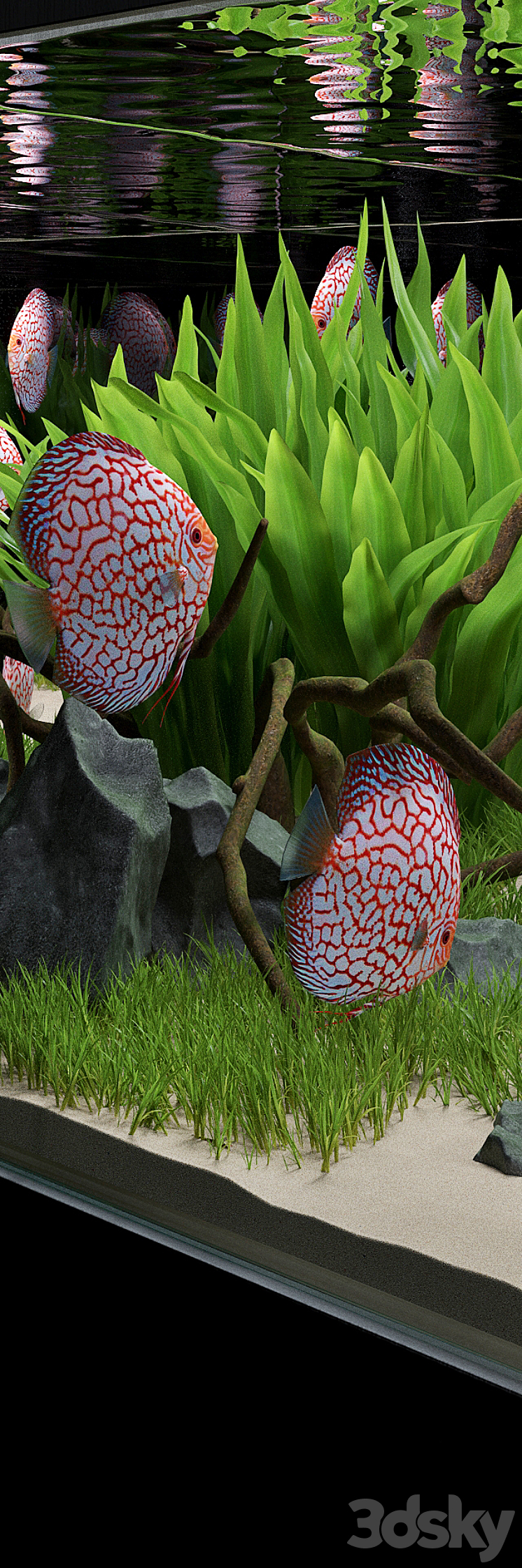 Aquarium 3DS Max - thumbnail 2