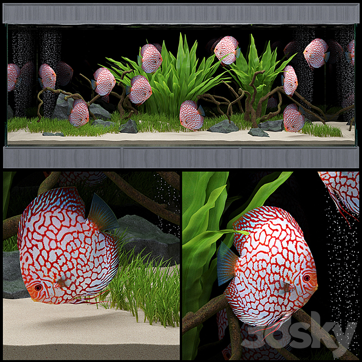 Aquarium 3DS Max - thumbnail 1