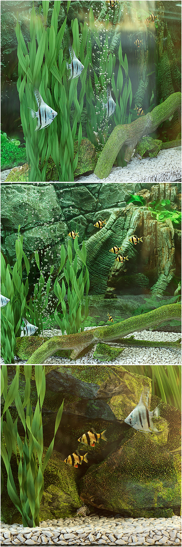 Aquarium 3DS Max - thumbnail 2