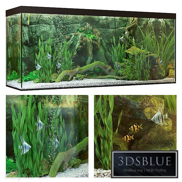 Aquarium 3DS Max - thumbnail 3