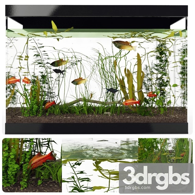 Aquarium 3dsmax Download - thumbnail 1