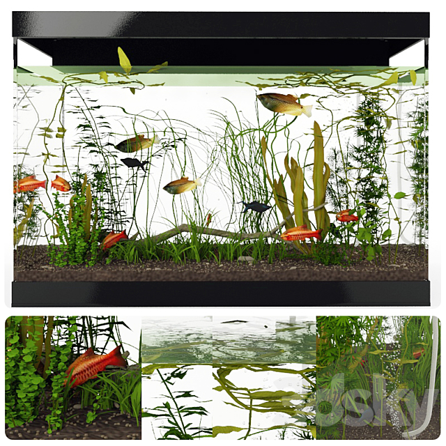Aquarium 3DSMax File - thumbnail 1