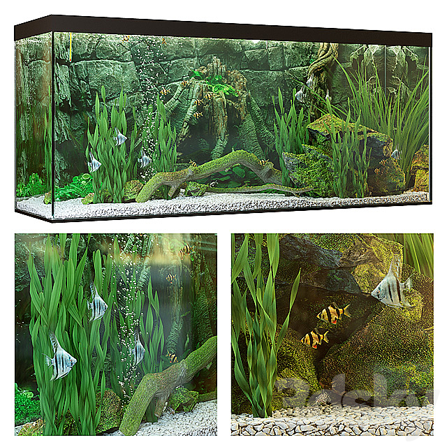 Aquarium 3DSMax File - thumbnail 1