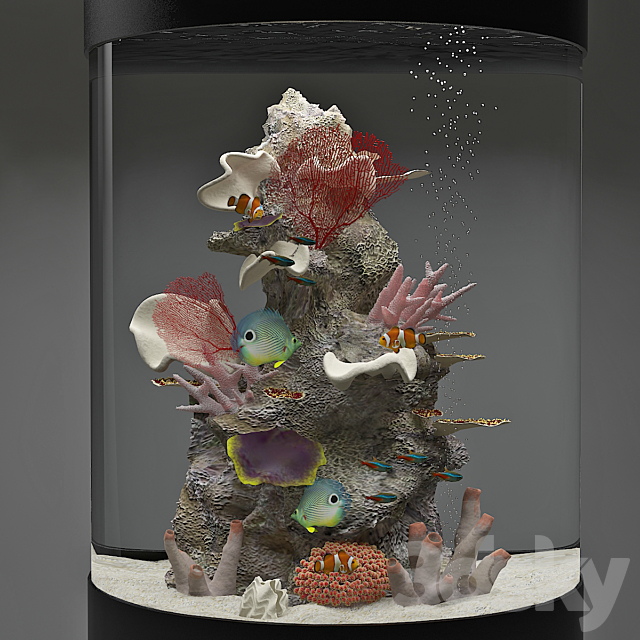 Aquarium 3DSMax File - thumbnail 1