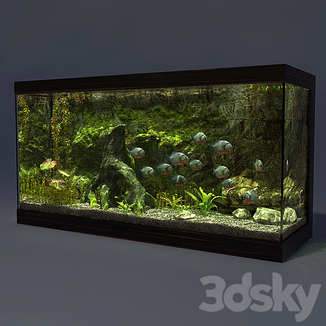 Aquarium 3DSMax File - thumbnail 1