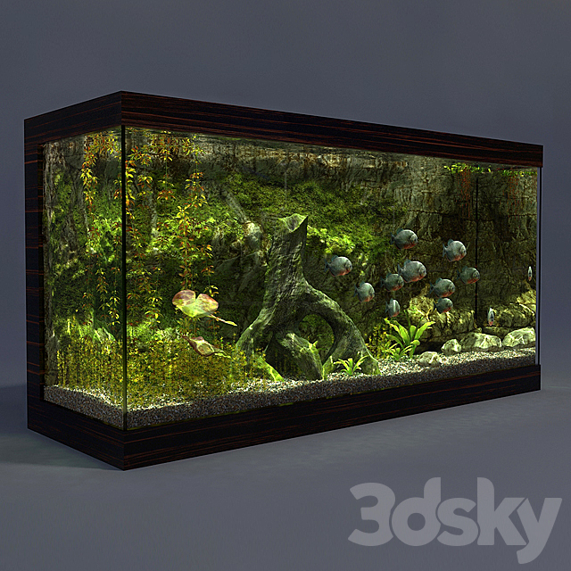 Aquarium 3DSMax File - thumbnail 2