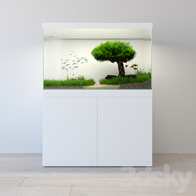 Aquarium _ aquarium 3ds Max - thumbnail 1