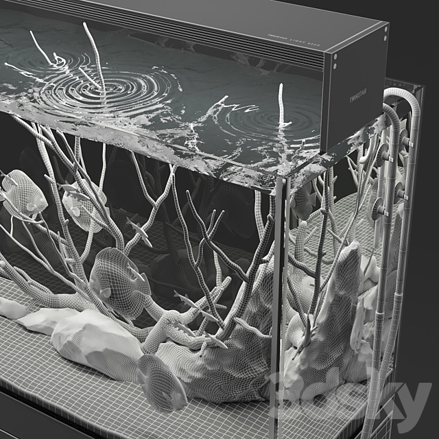 Aquarium discus fish 3DSMax File - thumbnail 7