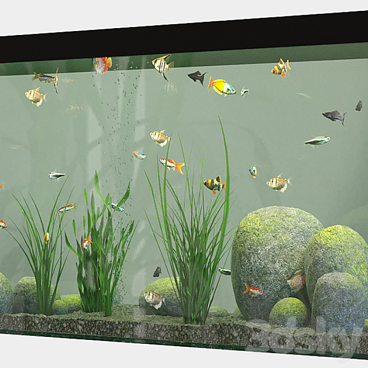 Aquarium set 3DS Max - thumbnail 2