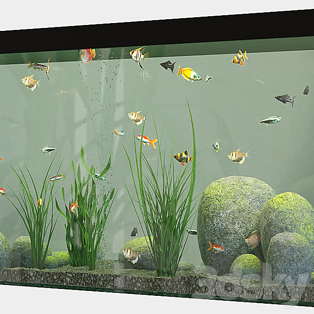 Aquarium set 3DSMax File - thumbnail 2