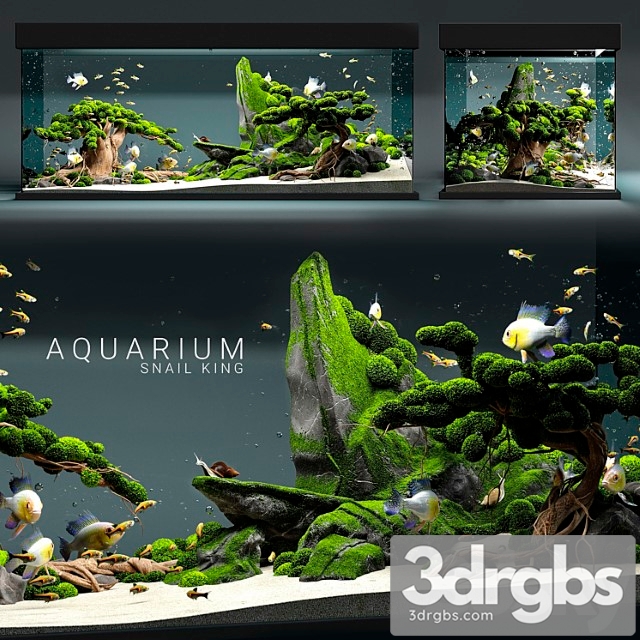 Aquarium Snail King 3dsmax Download - thumbnail 1