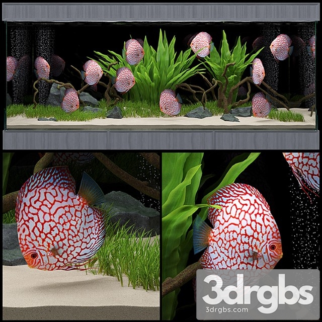 Aquarium_1 3dsmax Download - thumbnail 1