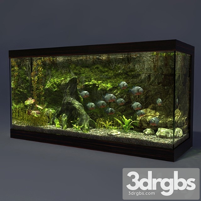 Aquarium_2 3dsmax Download - thumbnail 1