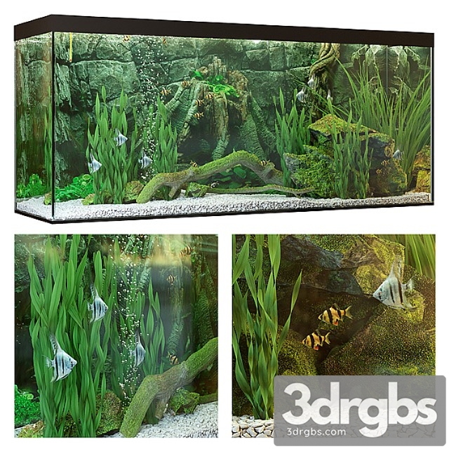 Aquarium_22 3dsmax Download - thumbnail 1