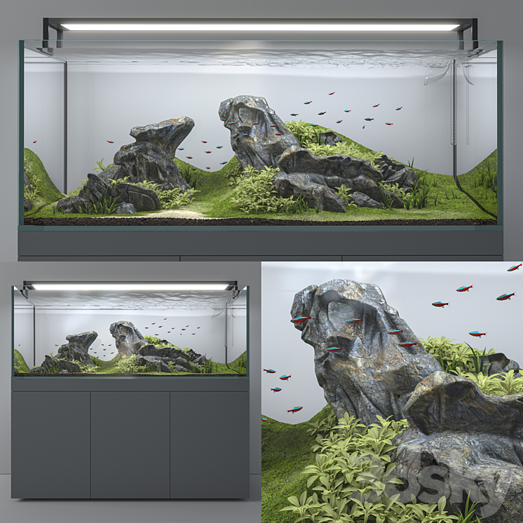 Aquascape aquarium 3DS Max - thumbnail 1