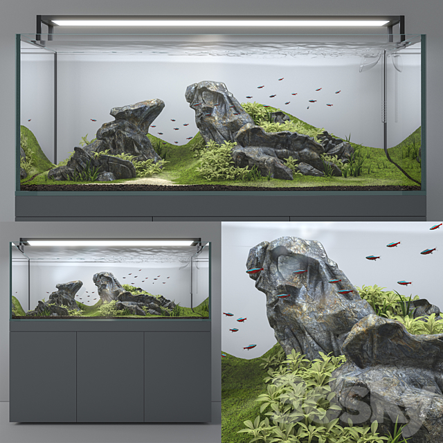 Aquascape aquarium 3DSMax File - thumbnail 1