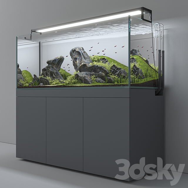 Aquascape aquarium 3DSMax File - thumbnail 2