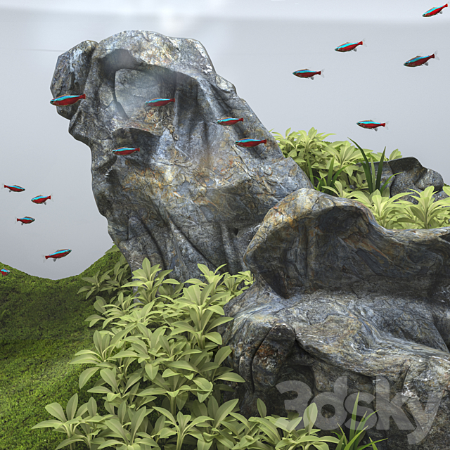 Aquascape aquarium 3DSMax File - thumbnail 3