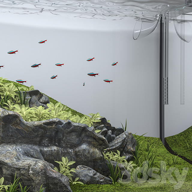 Aquascape aquarium 3DSMax File - thumbnail 5