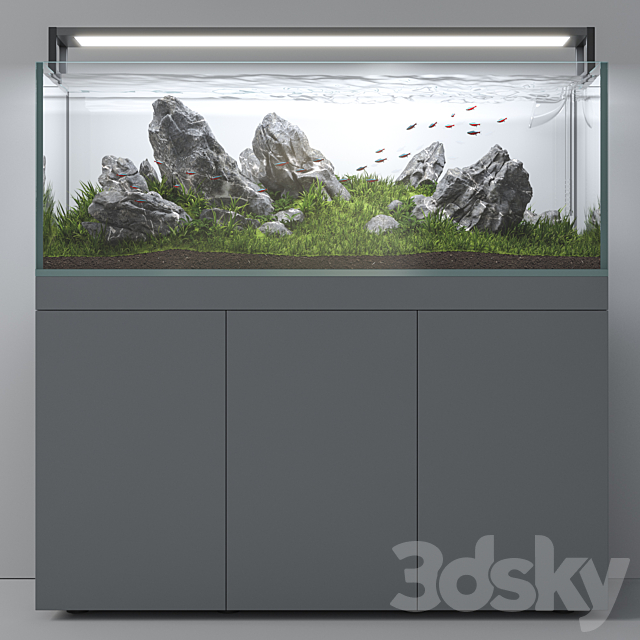 Aquascape aquarium Iwagumi 3DS Max Model - thumbnail 2