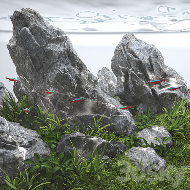 Aquascape aquarium Iwagumi 3DS Max Model - thumbnail 4