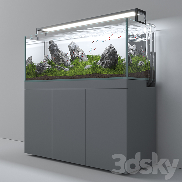 Aquascape aquarium Iwagumi 3DS Max Model - thumbnail 5