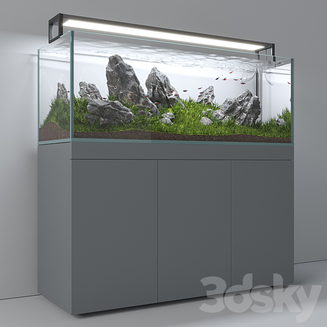 Aquascape aquarium Iwagumi 3DS Max Model - thumbnail 6