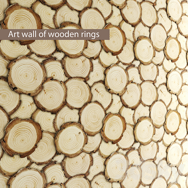 Art wall of wooden rings wall decor disks eco eco design panels 3ds Max - thumbnail 1