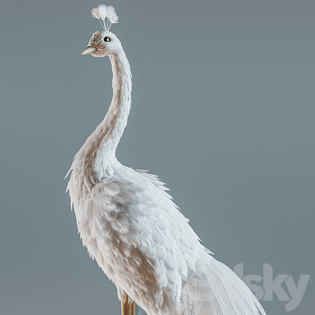 Artificial White Peacock 01. 3DSMax File - thumbnail 2