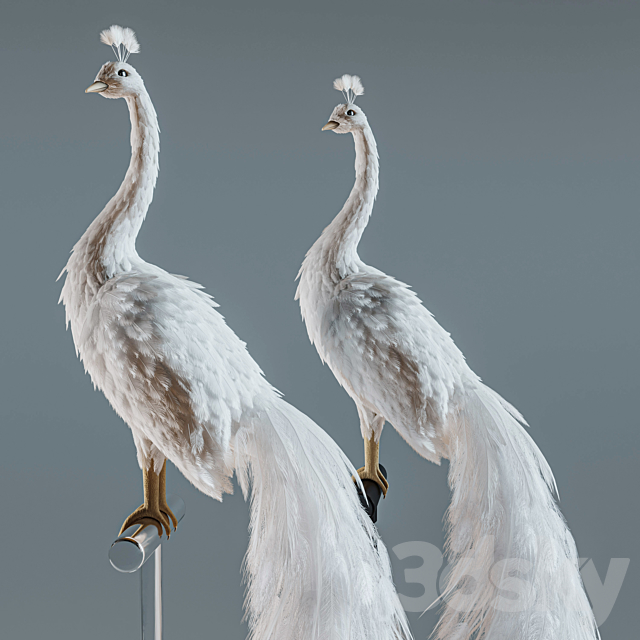 Artificial White Peacock 01. 3DSMax File - thumbnail 3