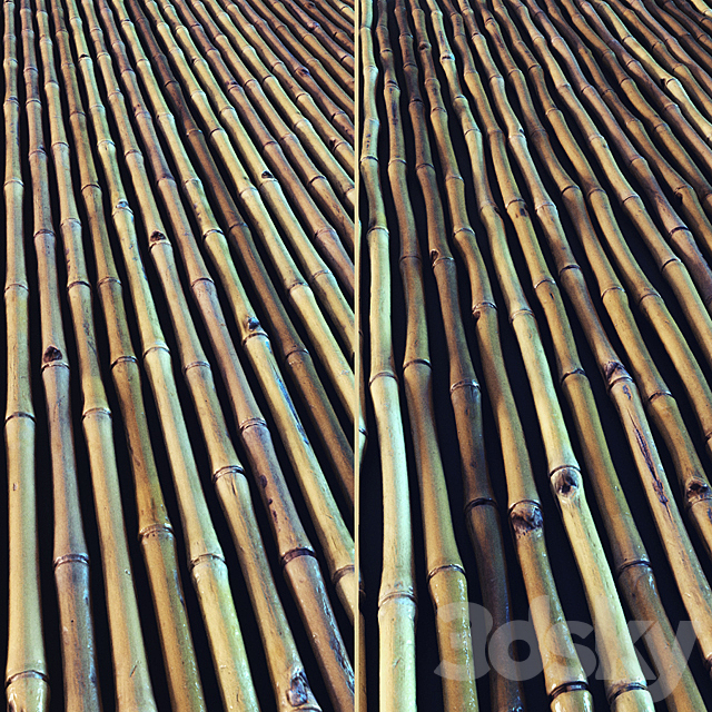 Bamboo 3DSMax File - thumbnail 1