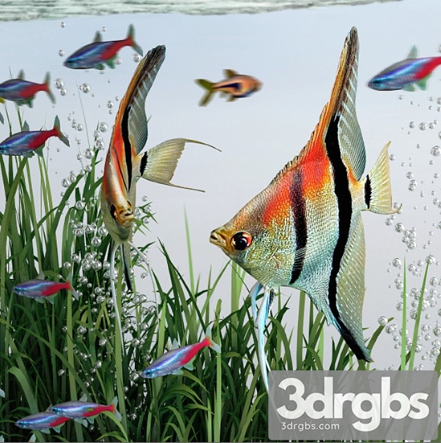 BiOrb 15L Flow Aquarium 3dsmax Download - thumbnail 1