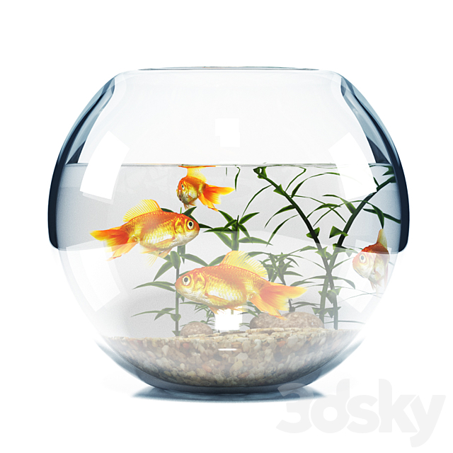 BOWL AQUARIUM 3DSMax File - thumbnail 1