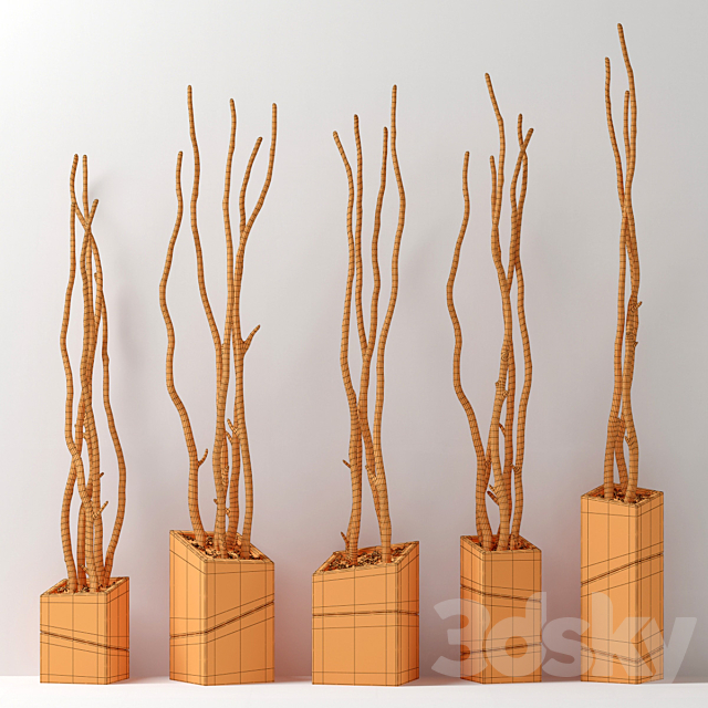 Branch decor vase slice n2 _ Branches curves in beveled vases 3DS Max Model - thumbnail 5