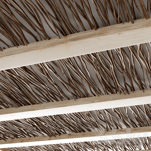 Branch dry old ceiling n1 3DS Max Model - thumbnail 3