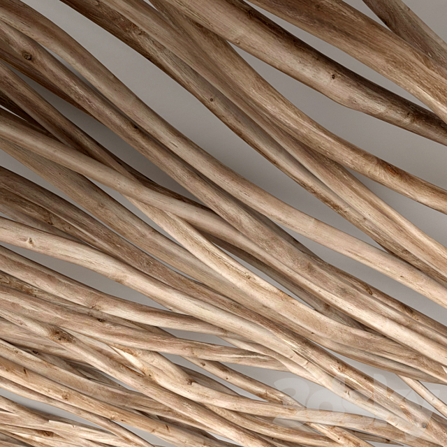 Branch dry old ceiling n1 3DS Max Model - thumbnail 4