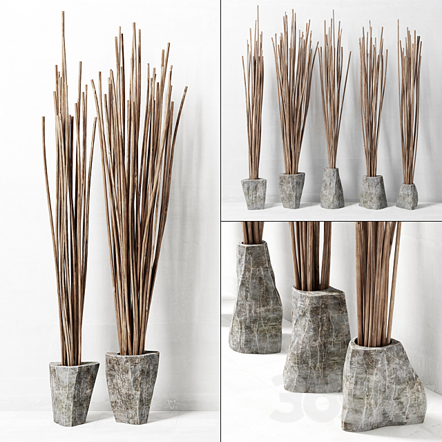 Branches in vase decor _ Decor of branches in vases 3DSMax File - thumbnail 1