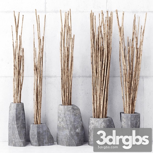 Branches in vases 3dsmax Download - thumbnail 1